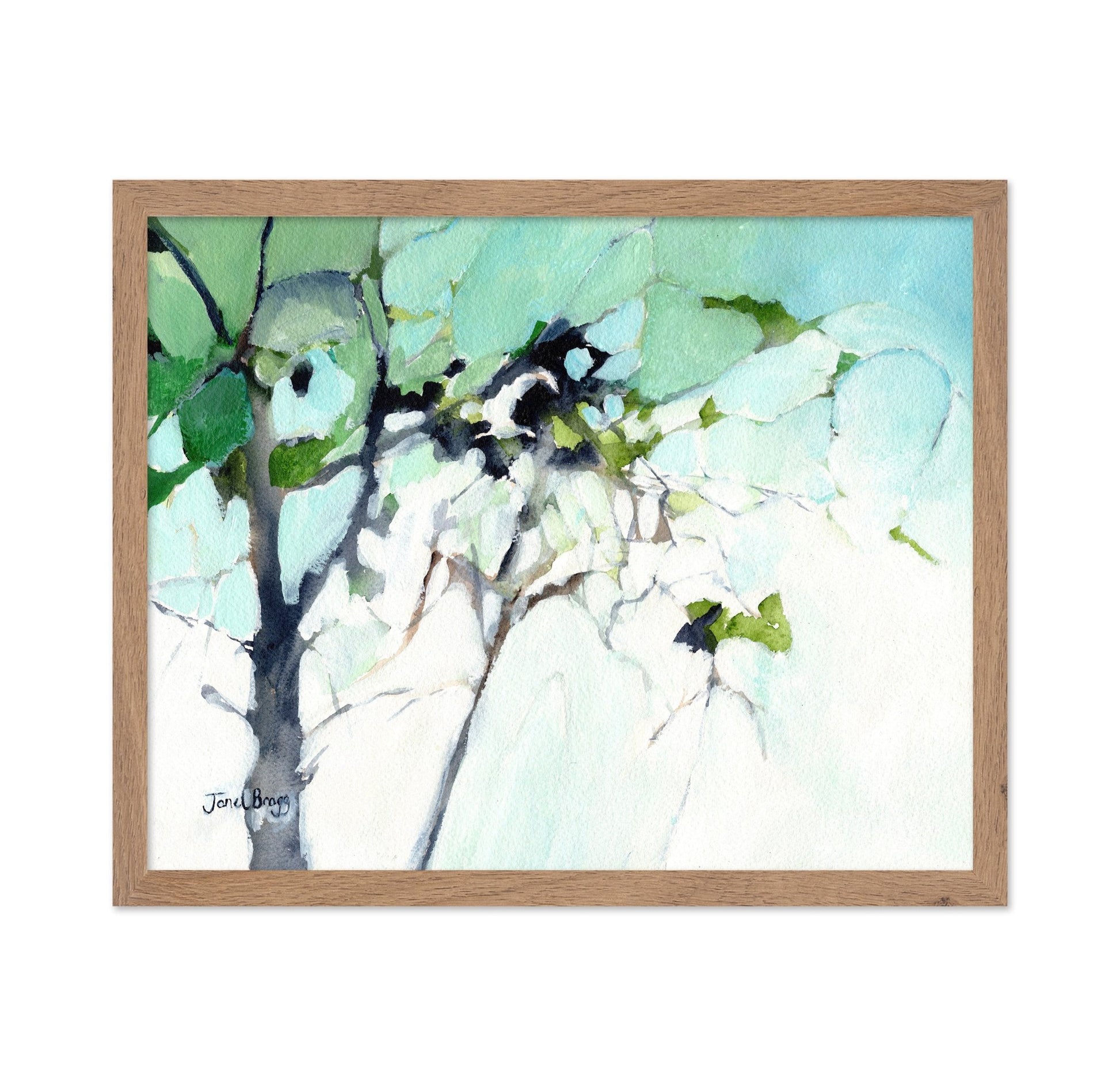 Soft Canopy Light