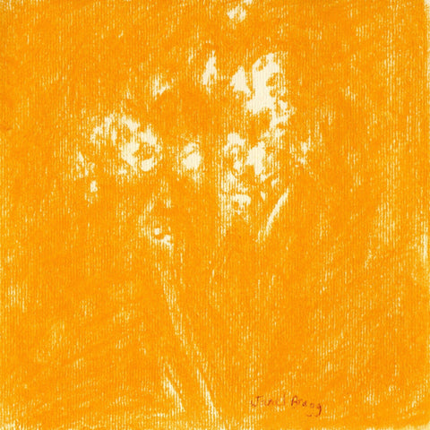 Ochre Baby?s Breath