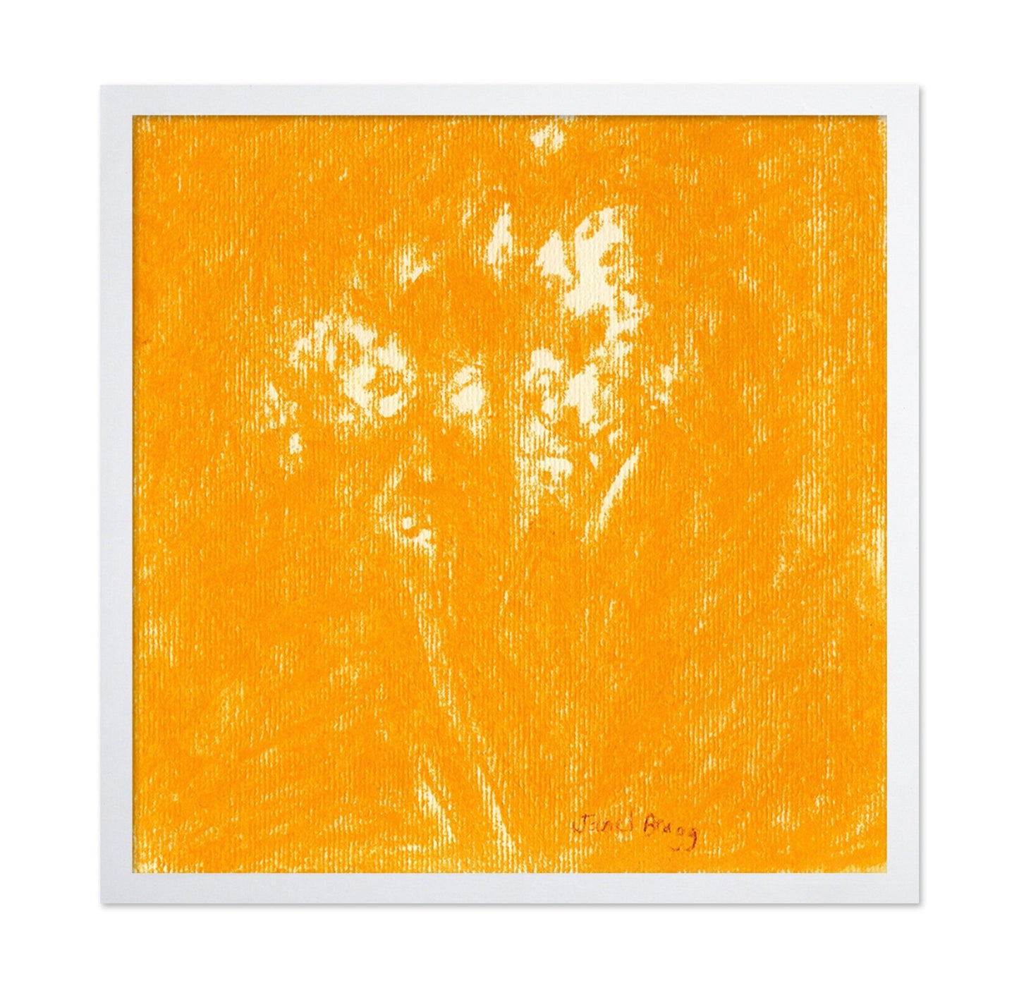 Ochre Baby?s Breath