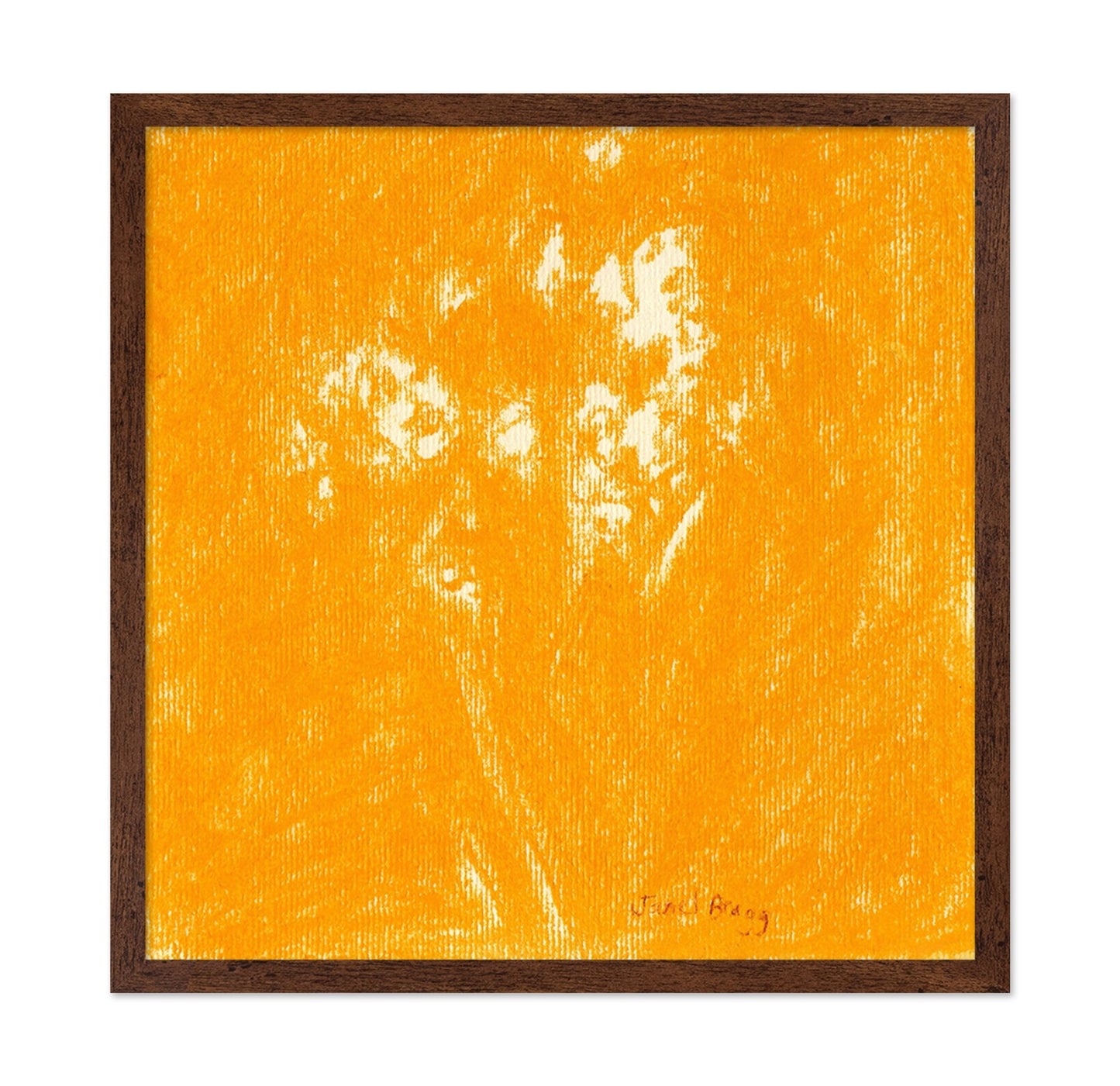 Ochre Baby?s Breath