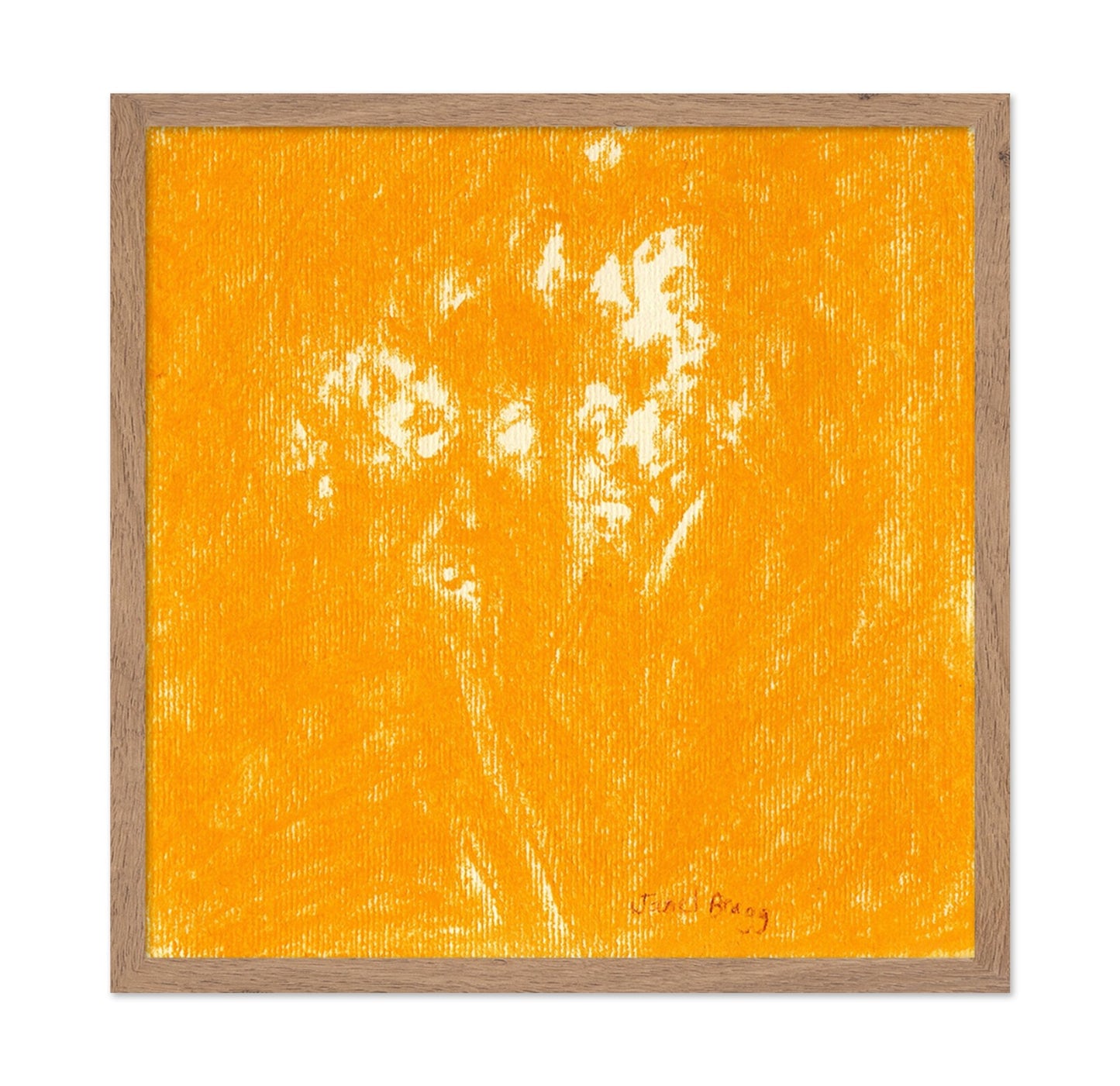 Ochre Baby?s Breath