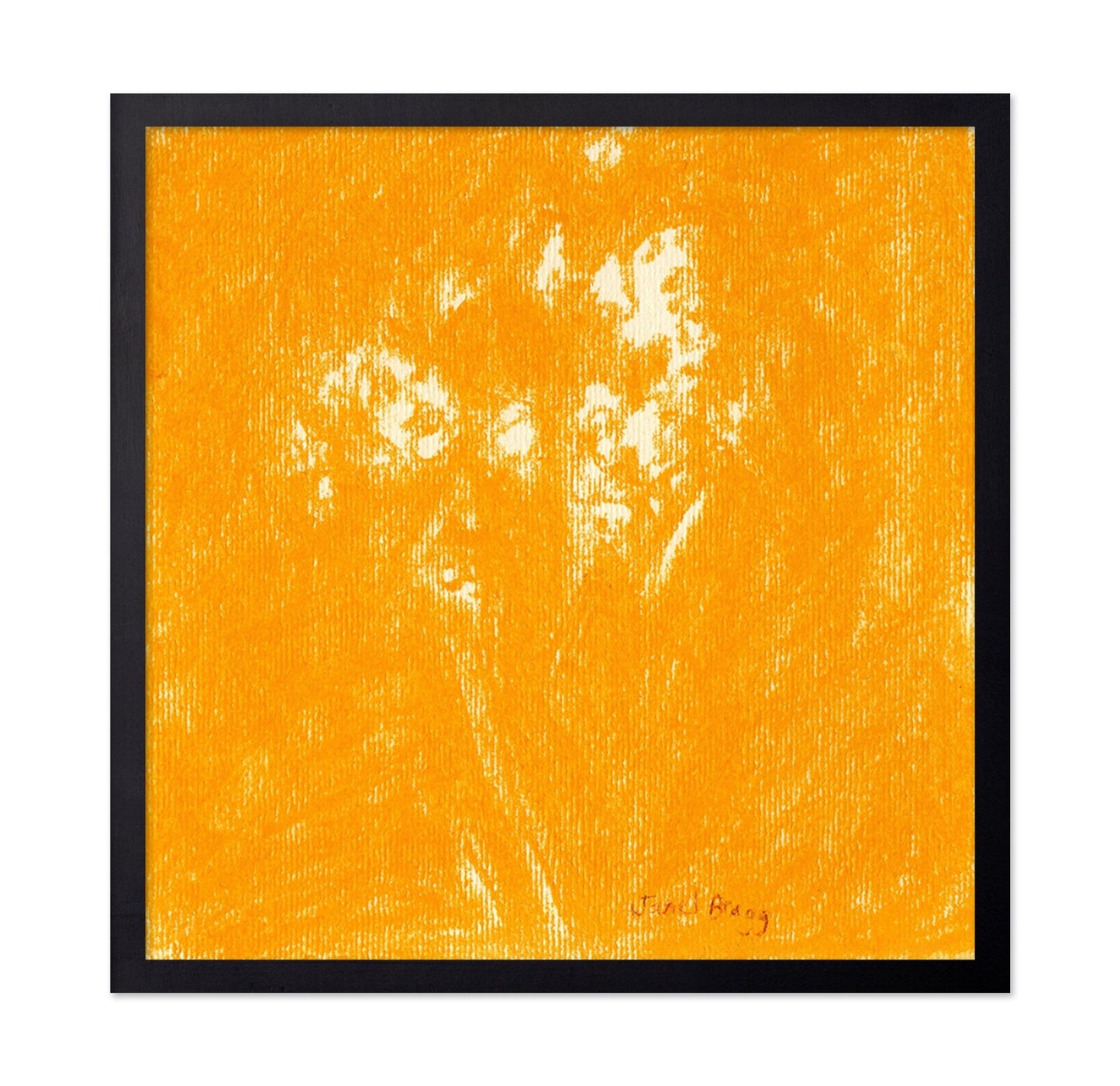 Ochre Baby?s Breath