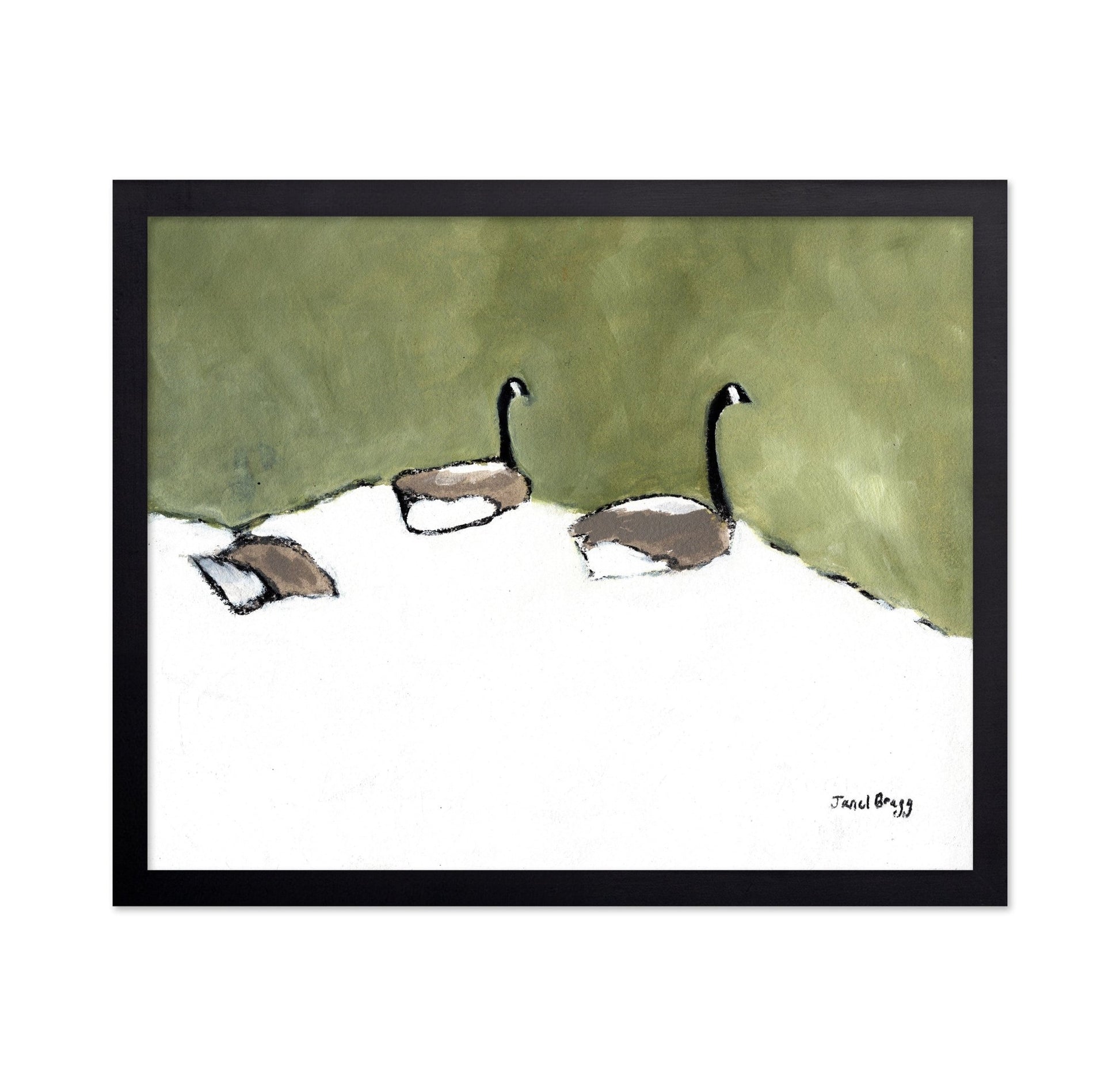 Geese Resting Pond