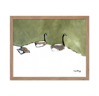 Geese Resting Pond