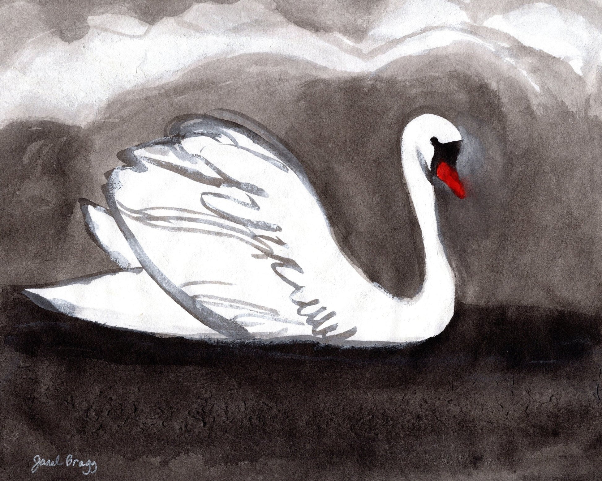 Stormy Lake Swan