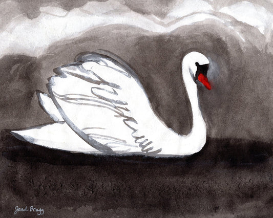 Stormy Lake Swan