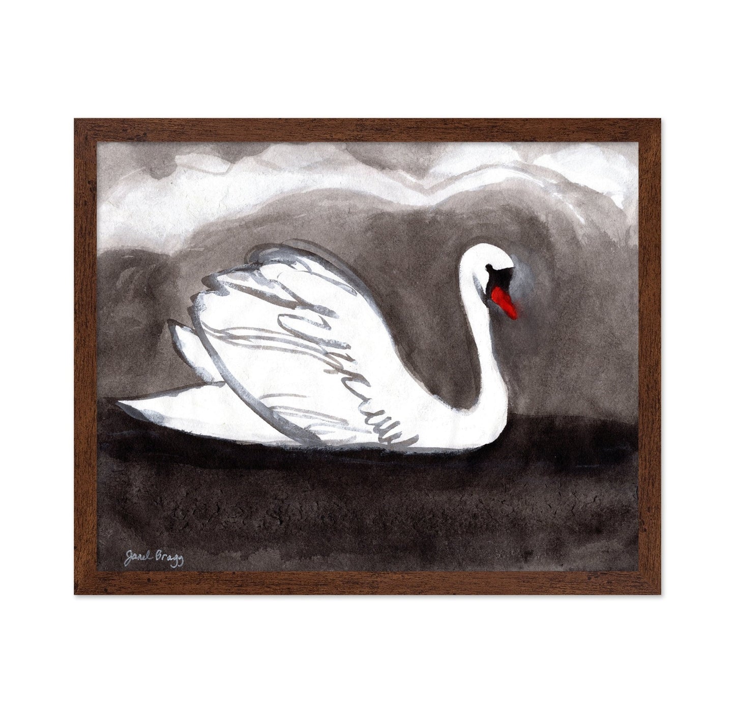 Stormy Lake Swan