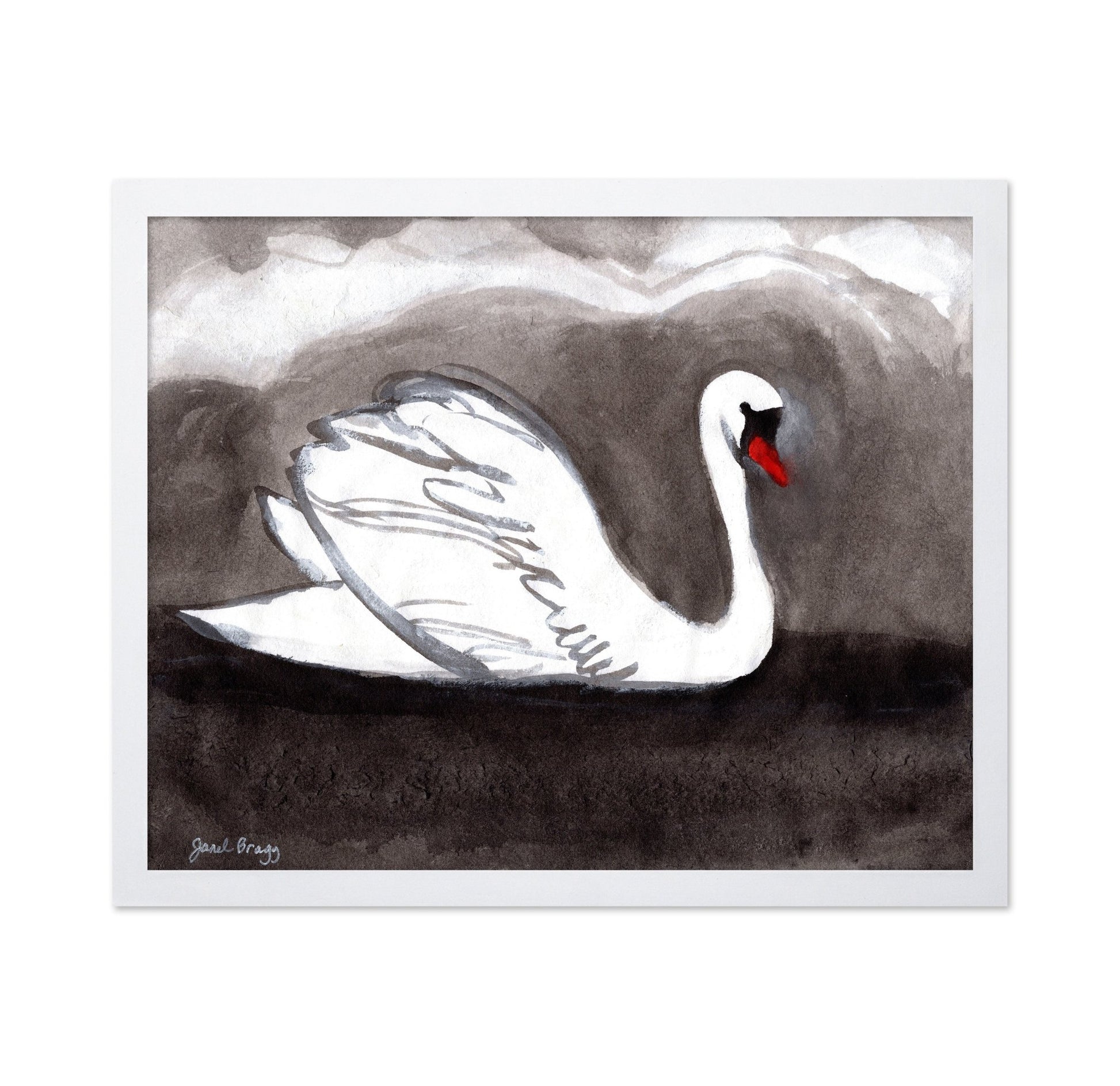 Stormy Lake Swan