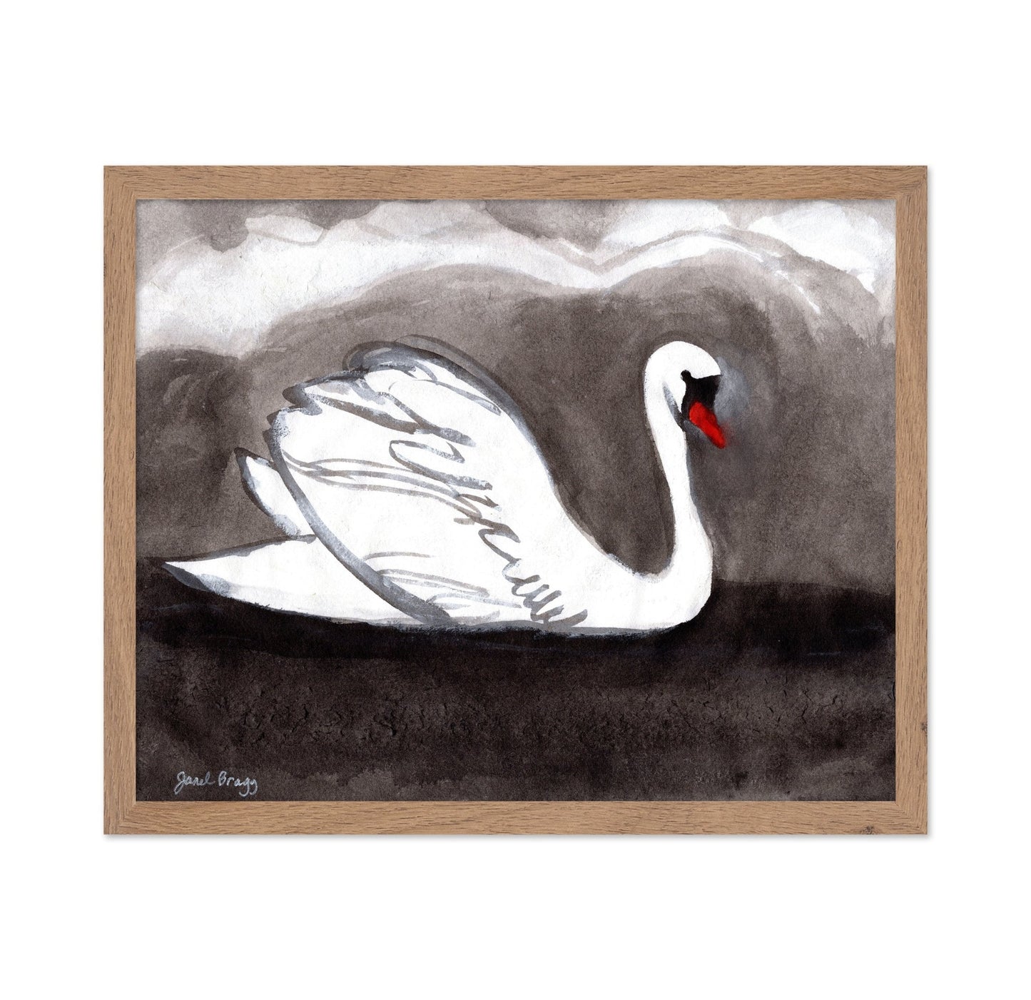 Stormy Lake Swan