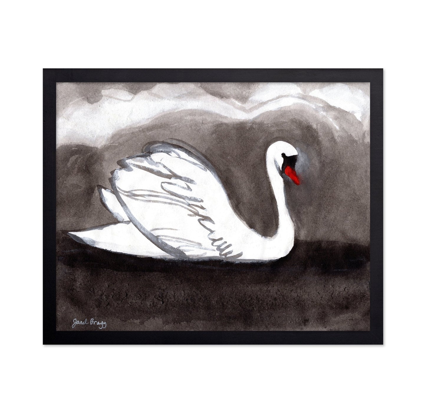 Stormy Lake Swan