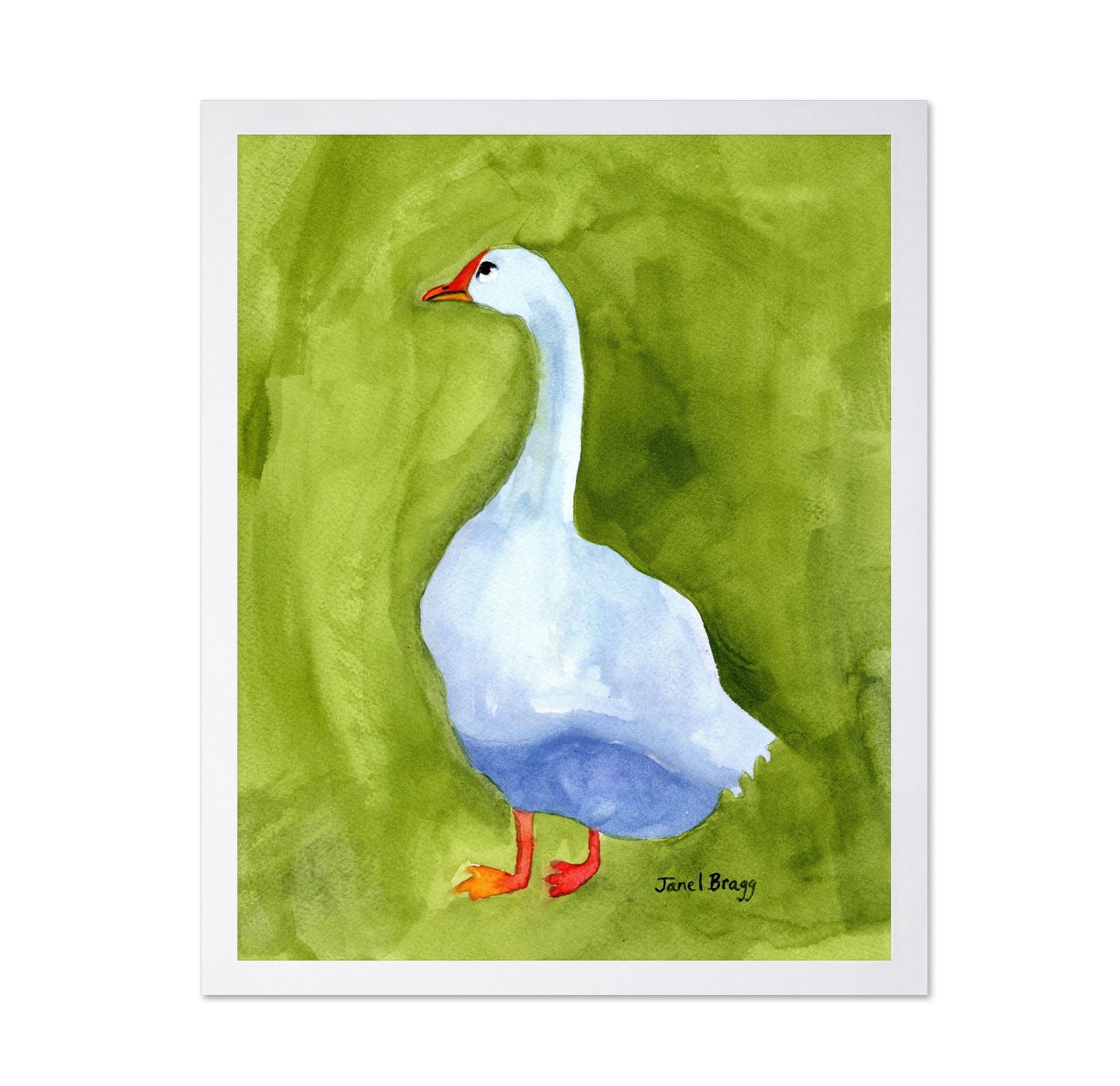 White Goose Portrait No1
