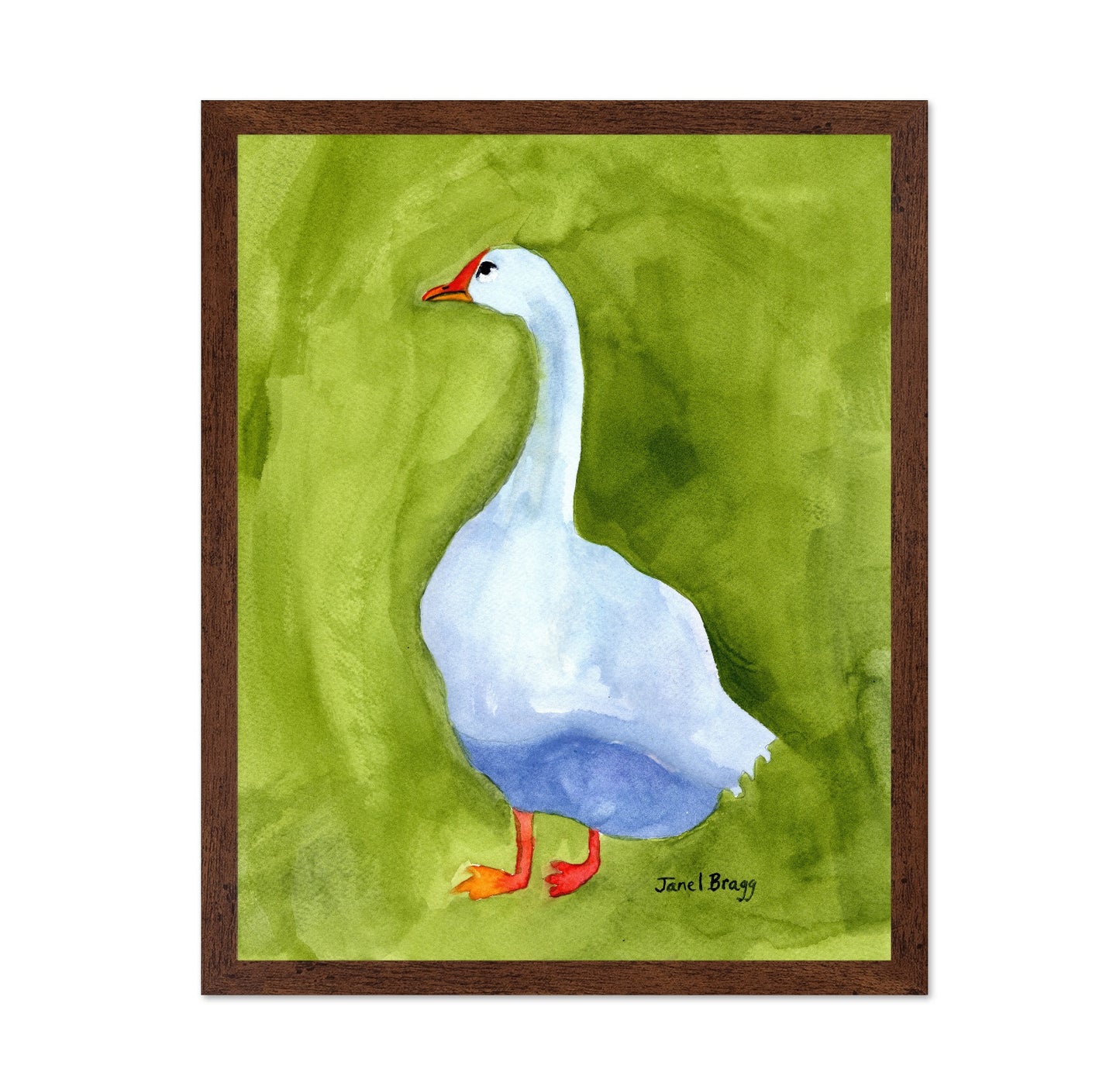 White Goose Portrait No1