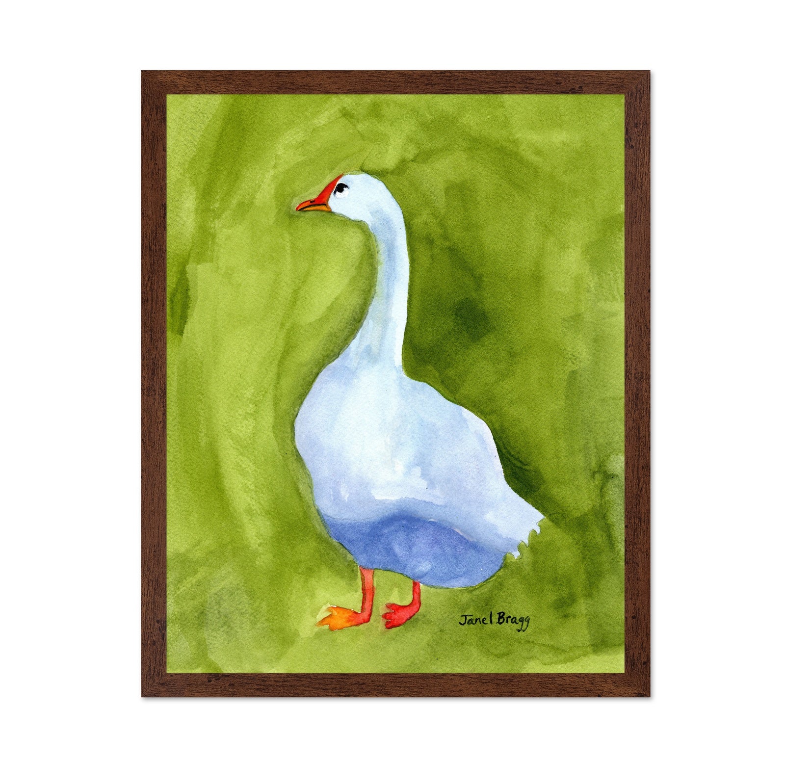 White Goose Portrait No1