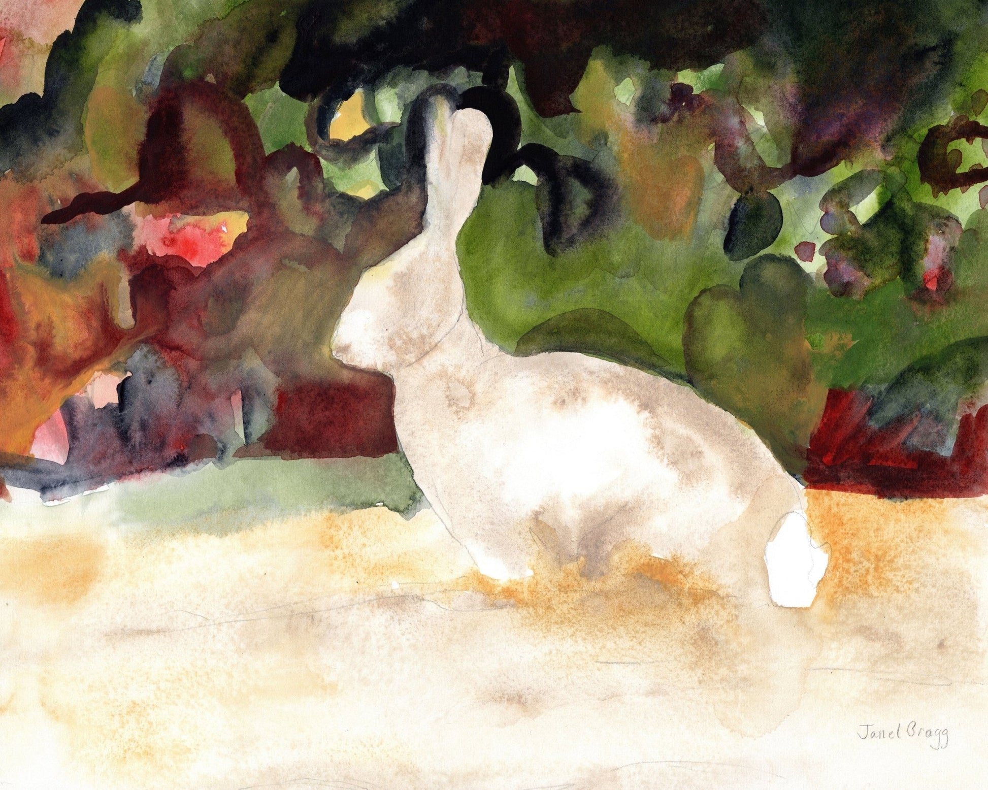 Garden Rabbit