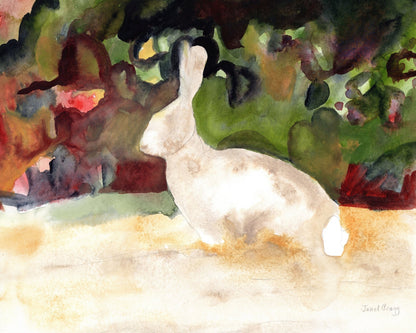 Garden Rabbit