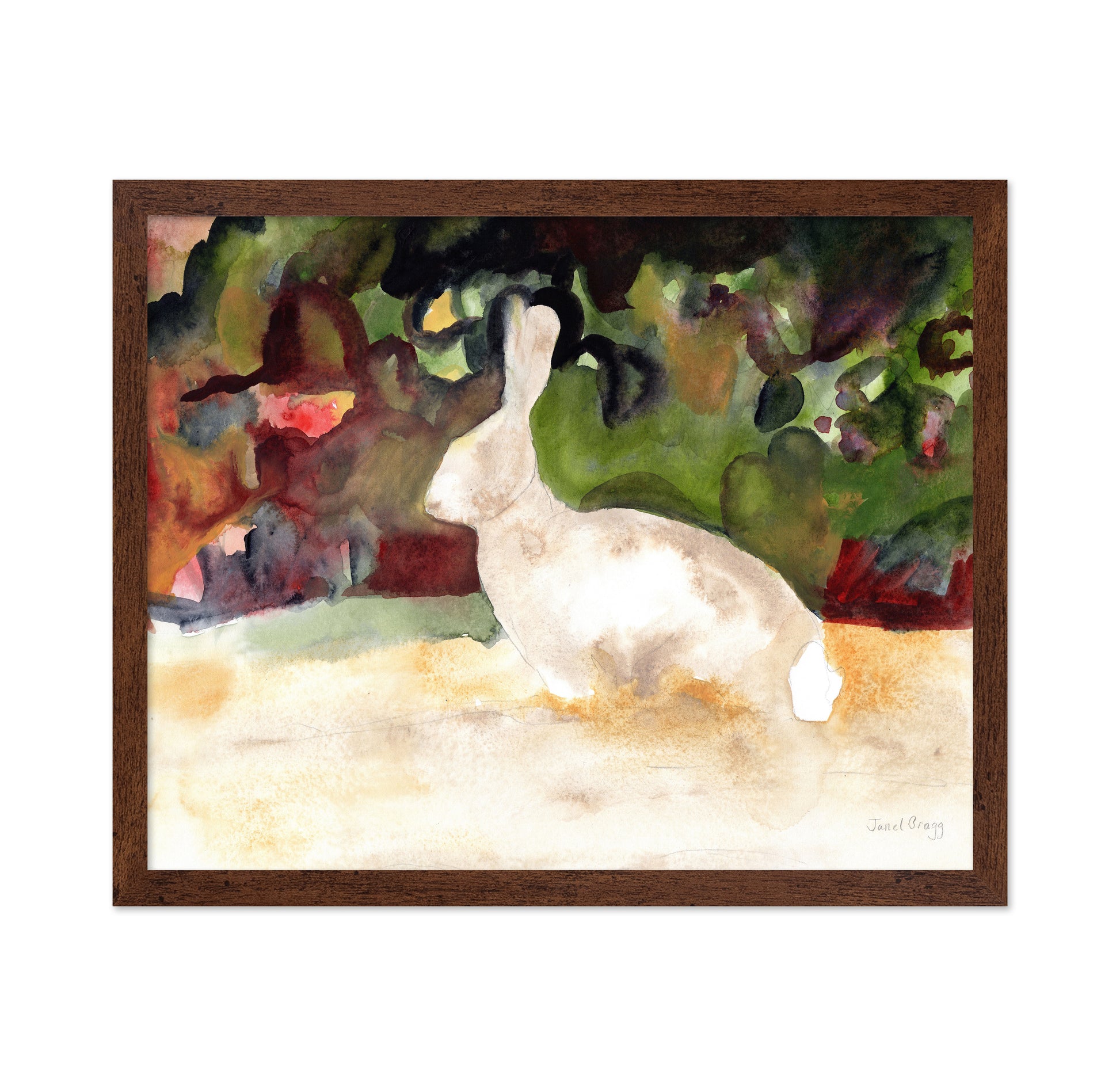 Garden Rabbit