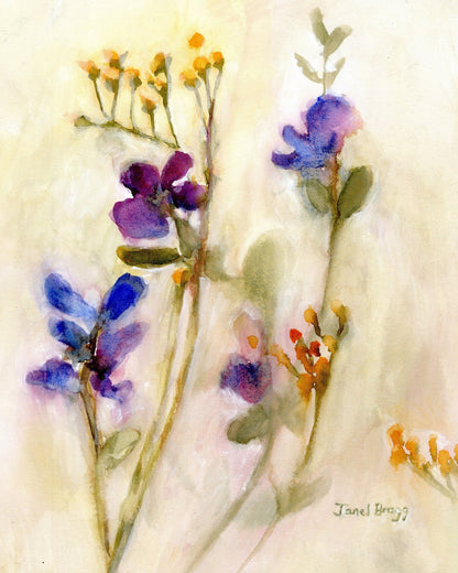 Sweet Pea Bloom