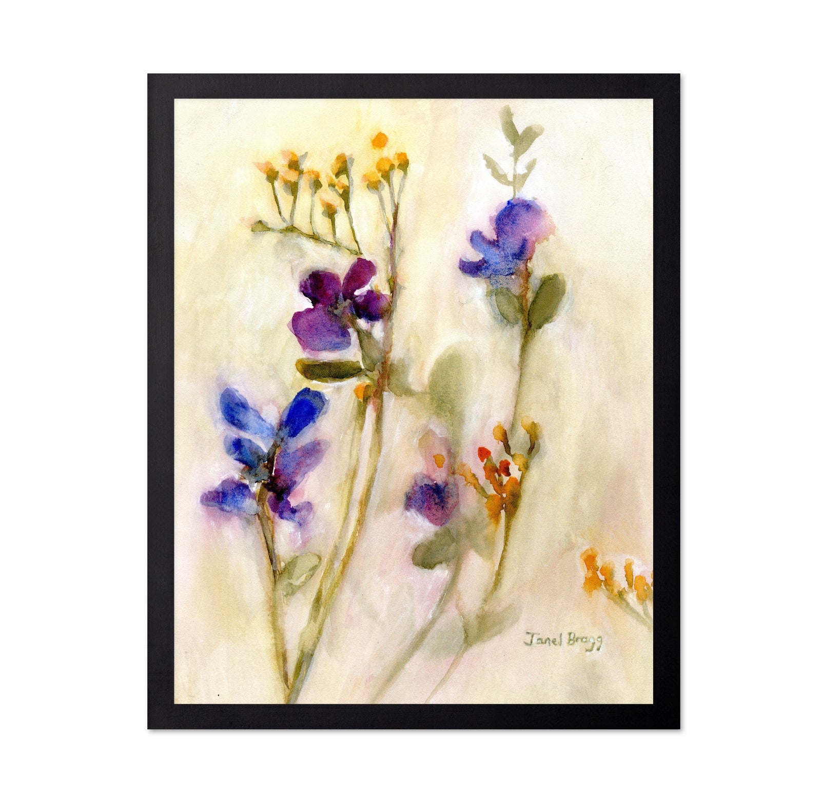 Sweet Pea Bloom