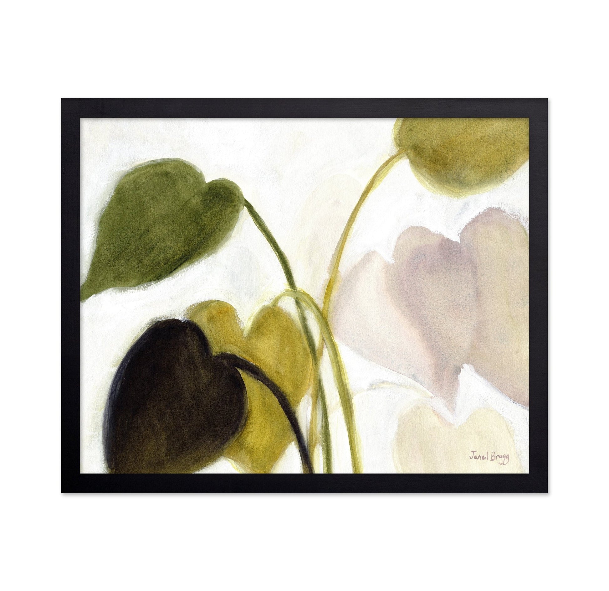 Philodendron Leaves