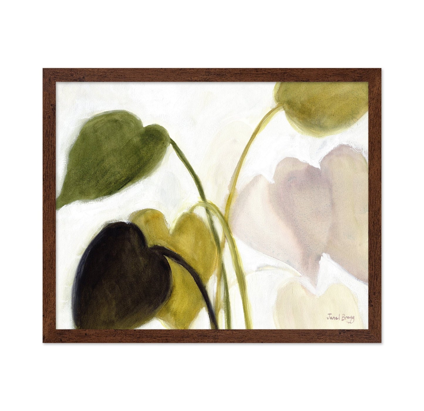 Philodendron Leaves