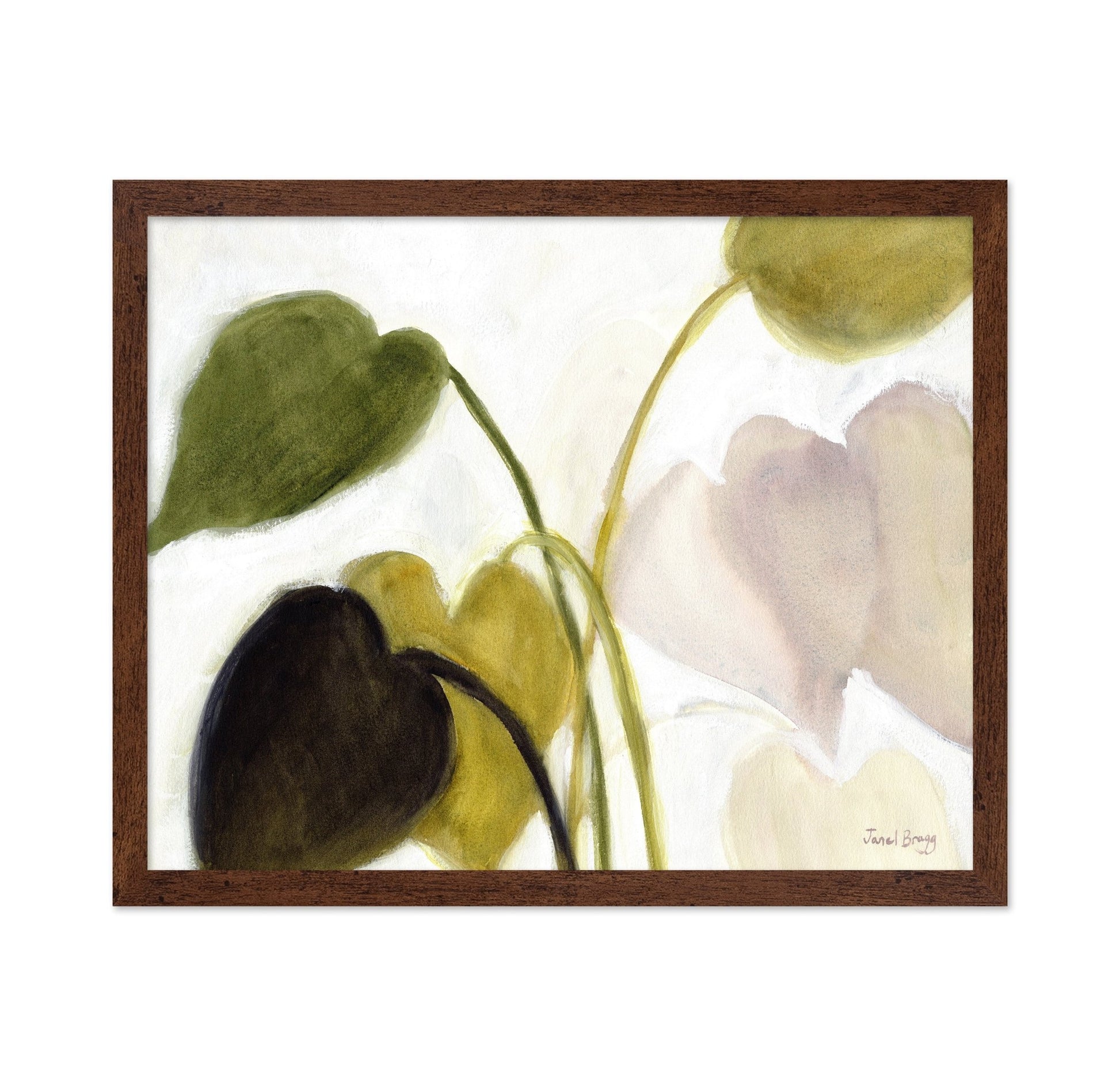 Philodendron Leaves