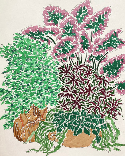 Monsoon Garden