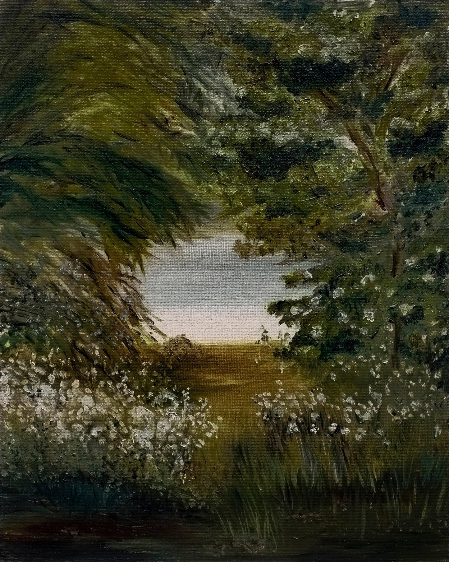 Hidden Lake Path
