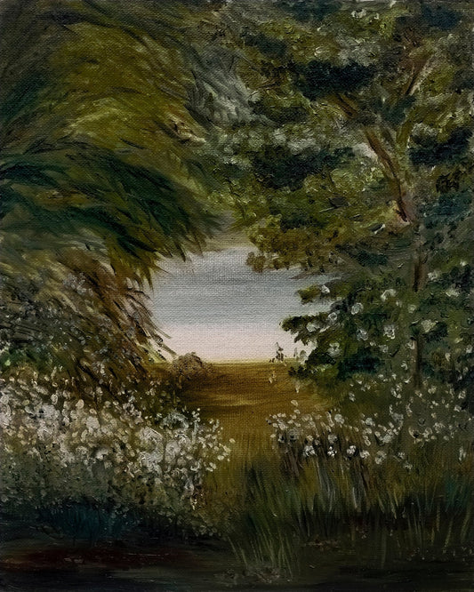 Hidden Lake Path