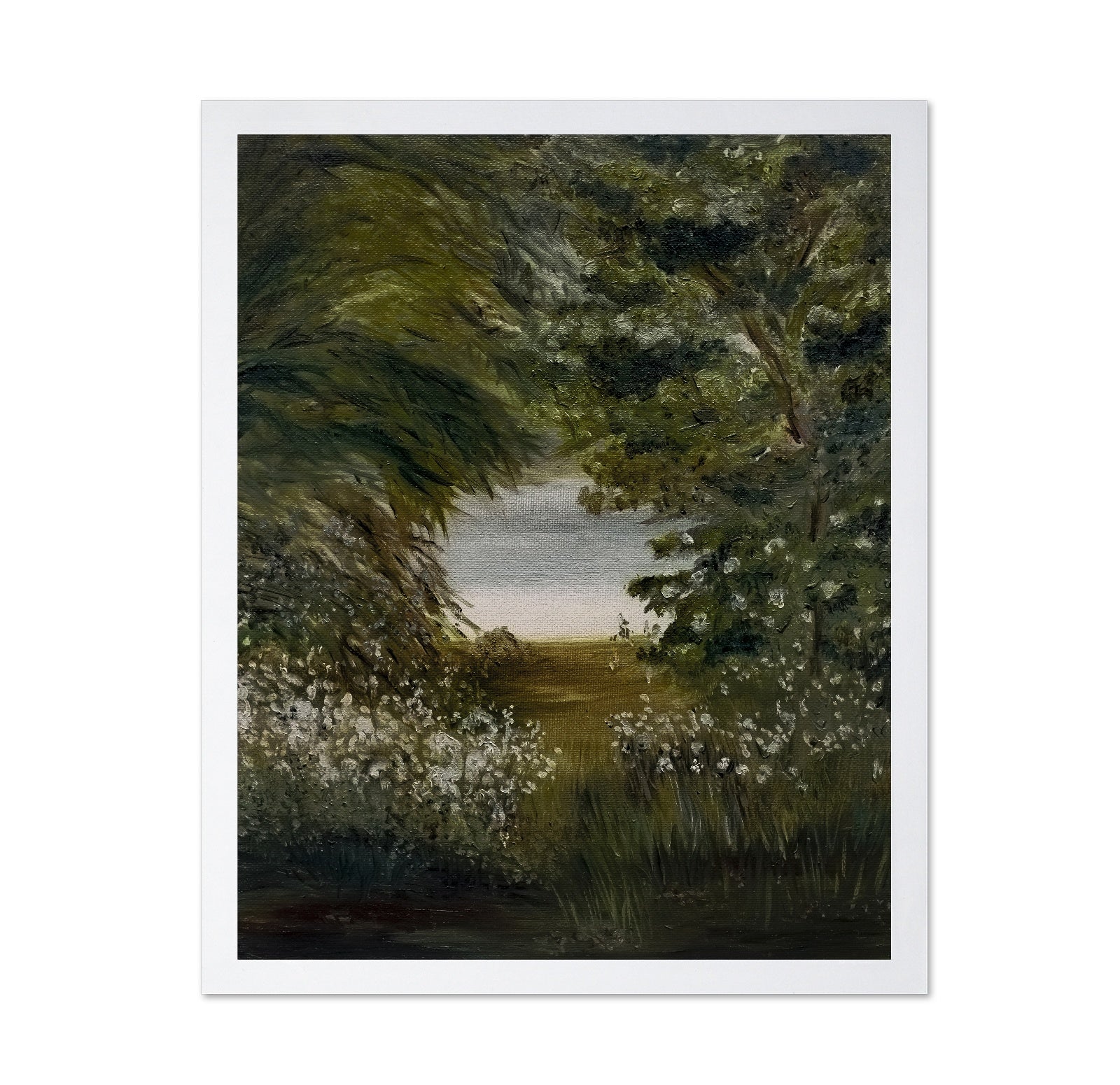 Hidden Lake Path