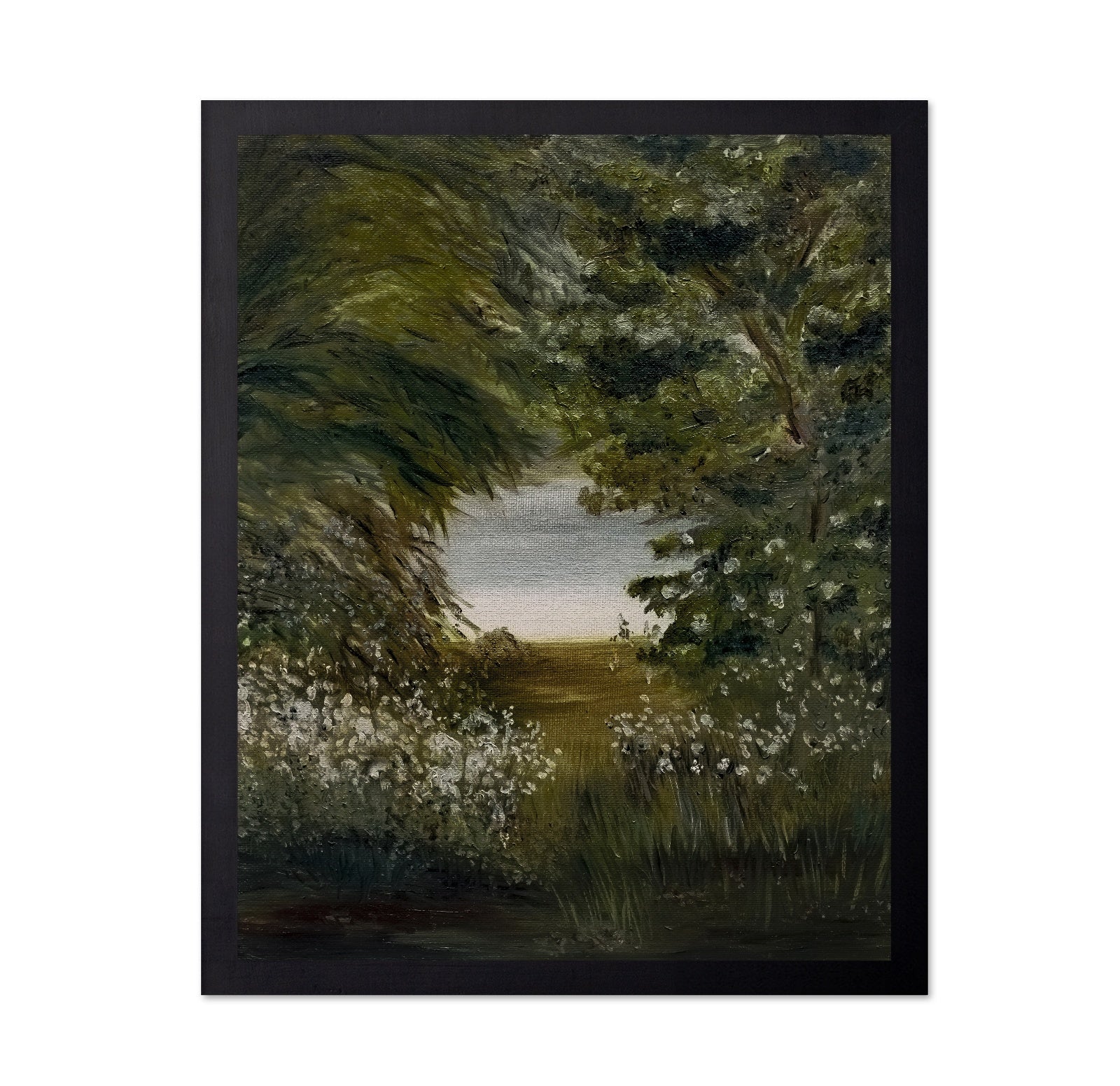 Hidden Lake Path