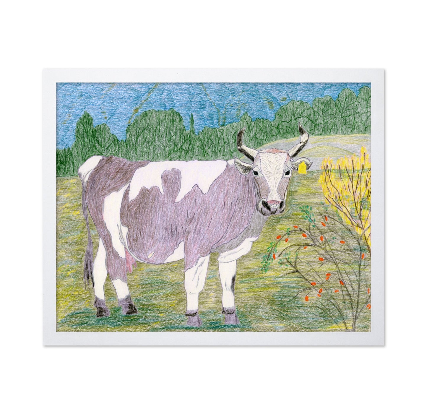 Pasture Cow