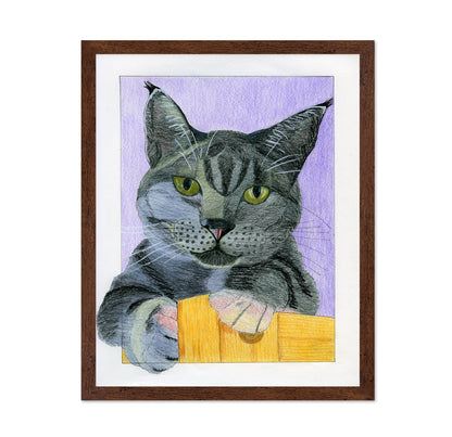 Curious Gray Cat