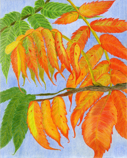 Autumn Leaves Branch