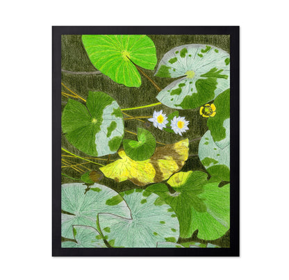 Lily Pond Leaves