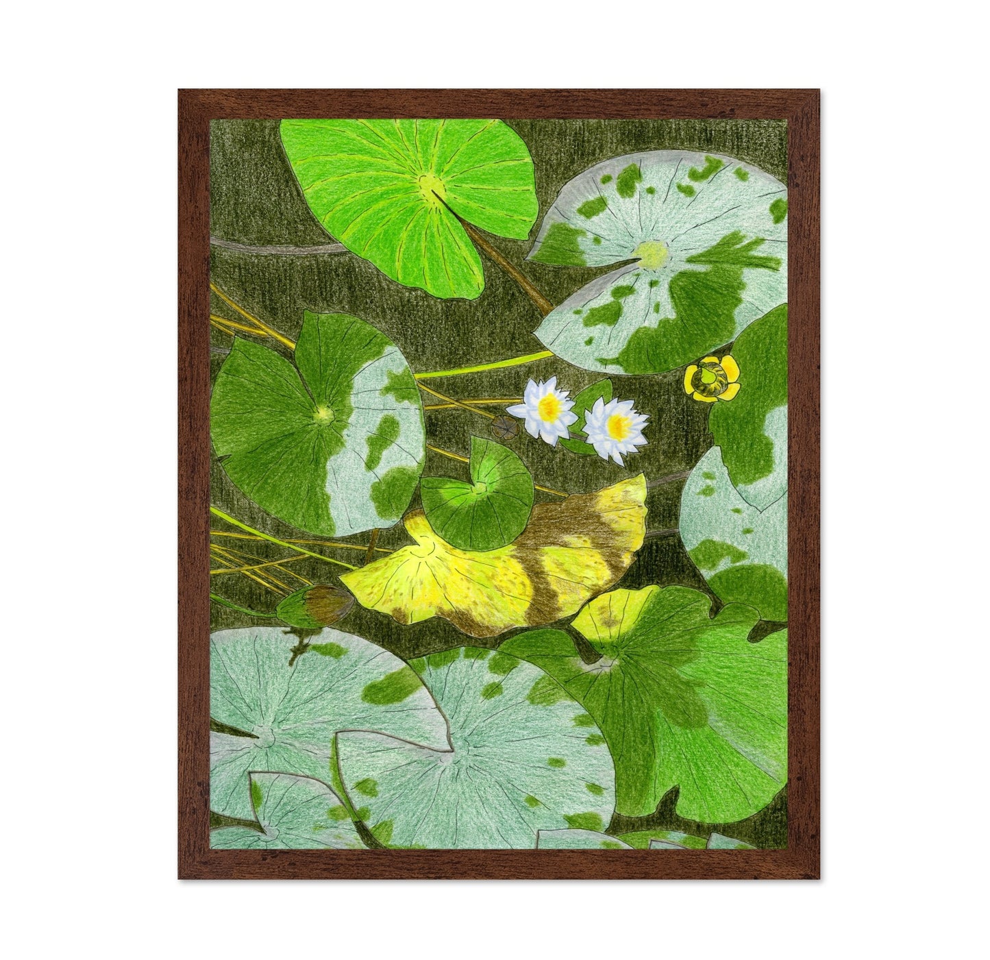 Lily Pond Leaves