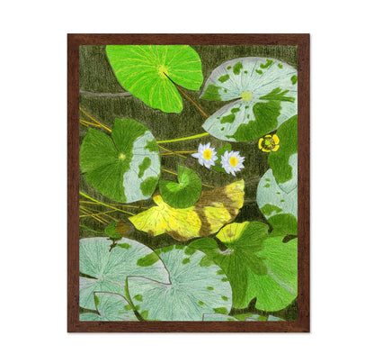 Lily Pond Leaves
