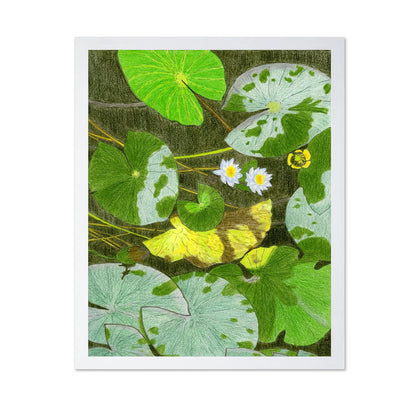 Lily Pond Leaves