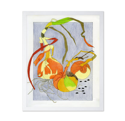 Harvest Onion Study