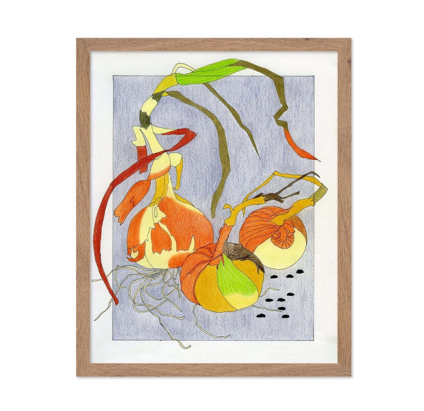 Harvest Onion Study