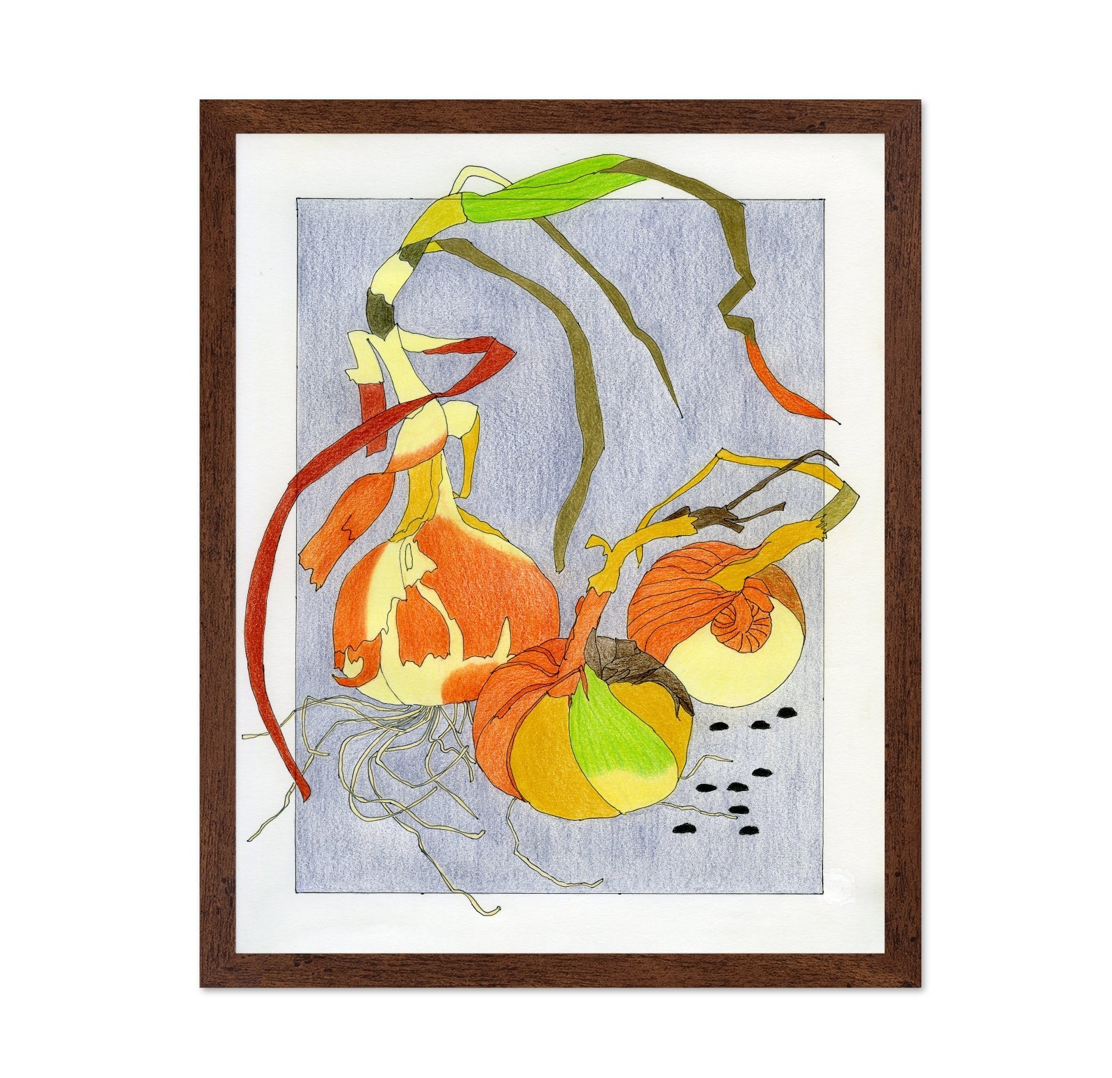 Harvest Onion Study