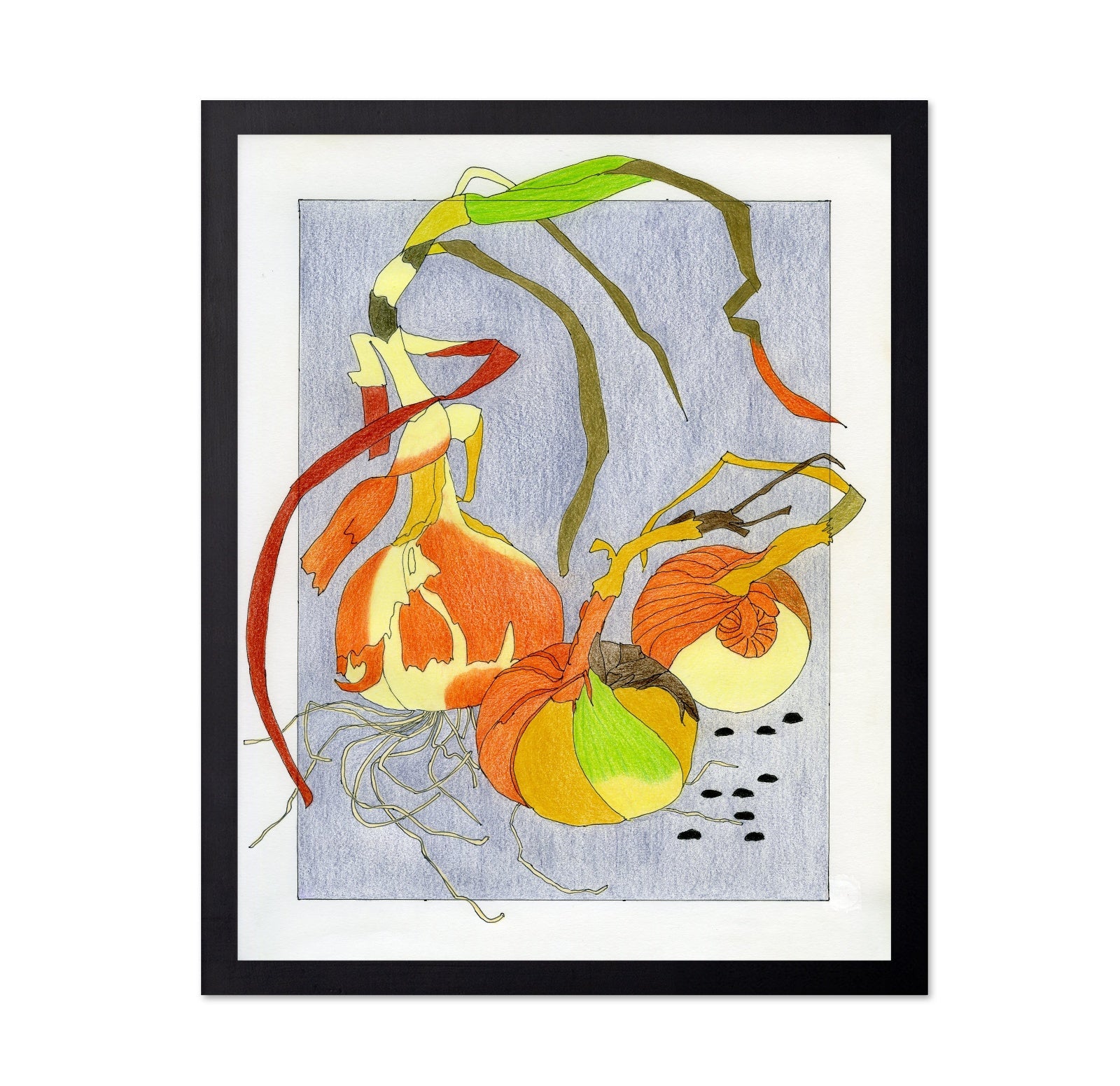 Harvest Onion Study