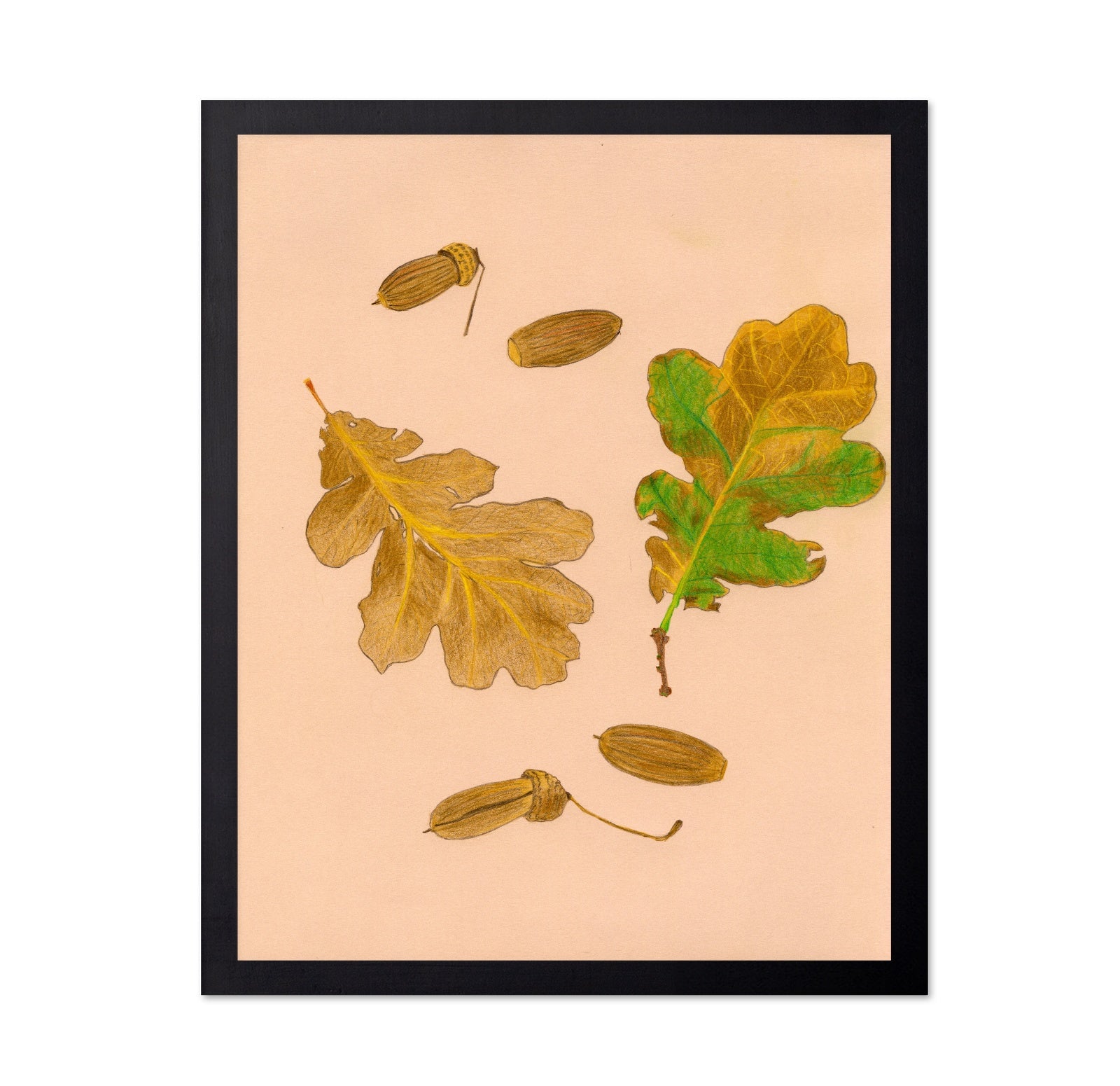 Oak Leaves