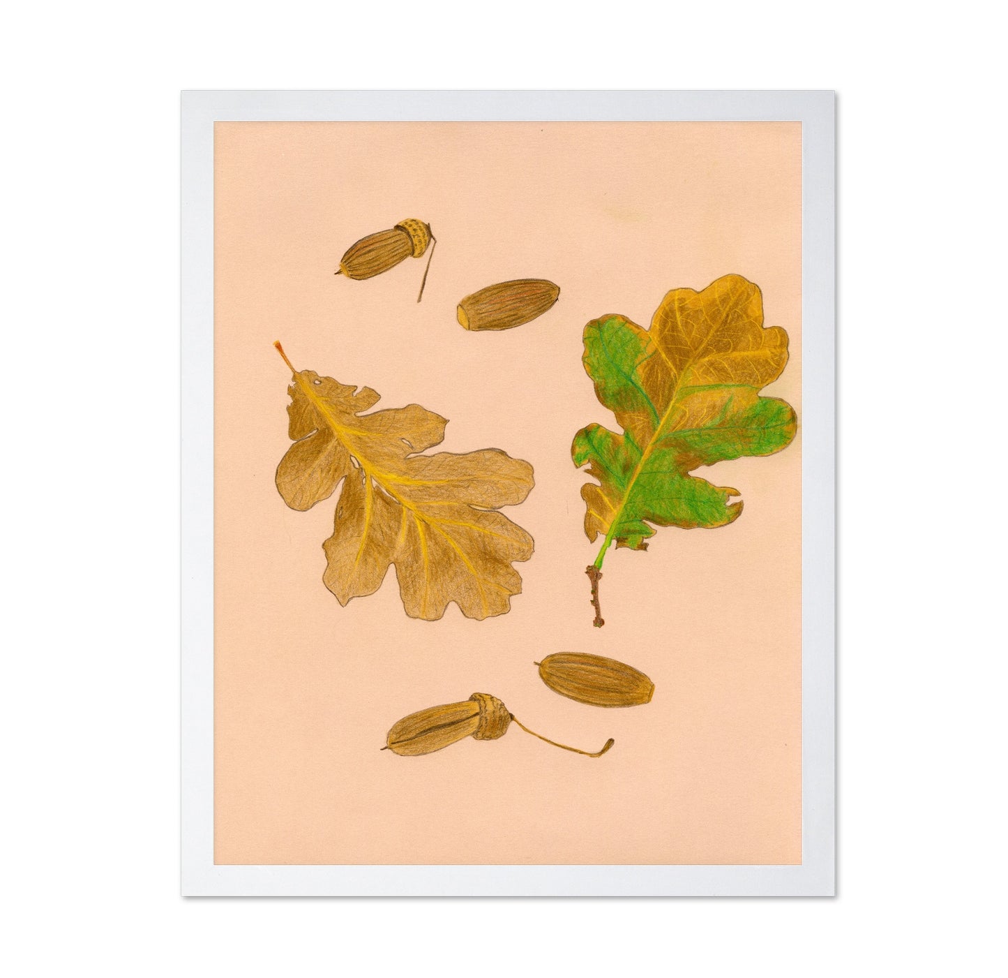 Oak Leaves