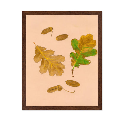 Oak Leaves