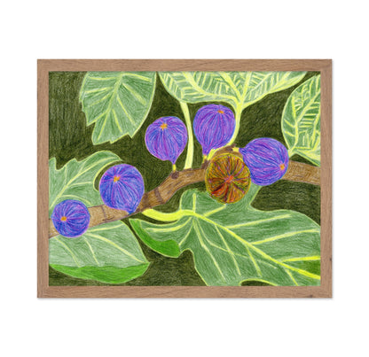 Purple Fig Branch