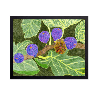 Purple Fig Branch