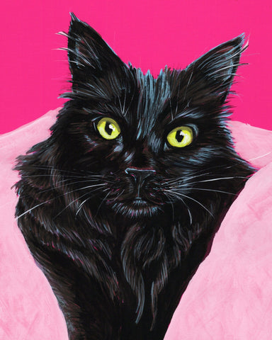 Black Cat Pink