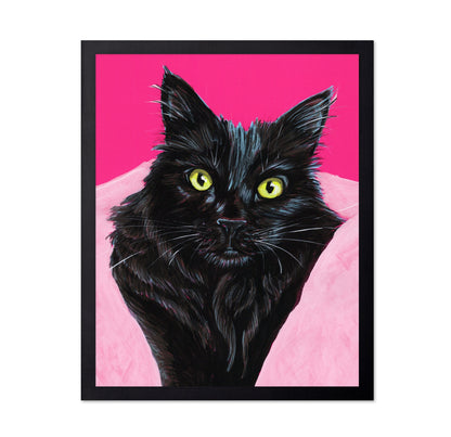 Black Cat Pink