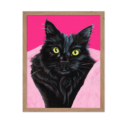 Black Cat Pink