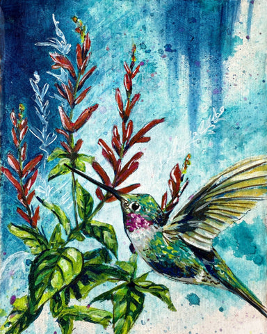Hummingbird in Bloom
